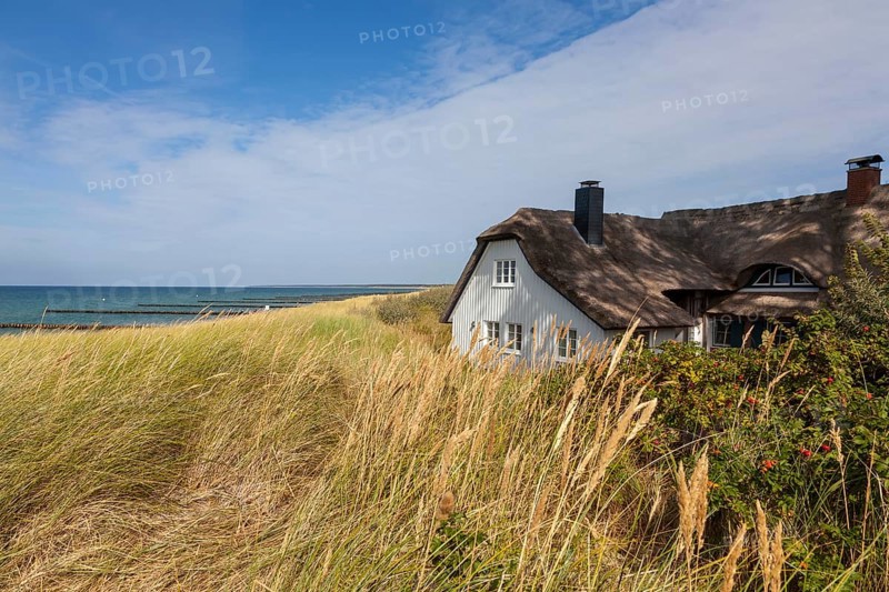 Thatched roof house in the dunes on the beach, Baltic Sea, Ahrenshoop, Fischland, Mecklenburg-Western Pomerania, Germany, Europe