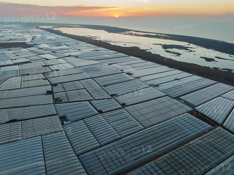 Masses of shimmering plastic greenhouses at the coast of El Ejido aside with the lagoon Salinas de Cerrillos, at sunrise, aerial view, drone shot, Almería province, Andalusia, Spain, Europe