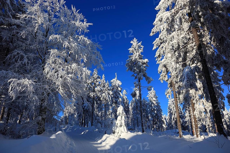 Winter landscape in the Fichtelgebirge, Bayreuth district, Upper Franconia, Bavaria, Germany, Europe
