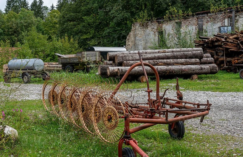 Logs stored on the grounds of the horticultural office, Schwangau, Bavaria, Germany, Europe