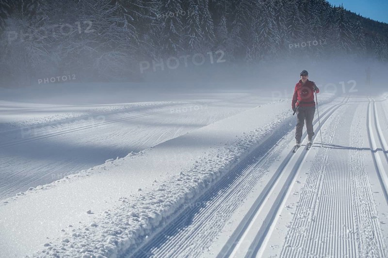 Perfect track on the cross-country circuit alte Mühle, Ramsau am Dachstein, Styria, Austria, Europe
