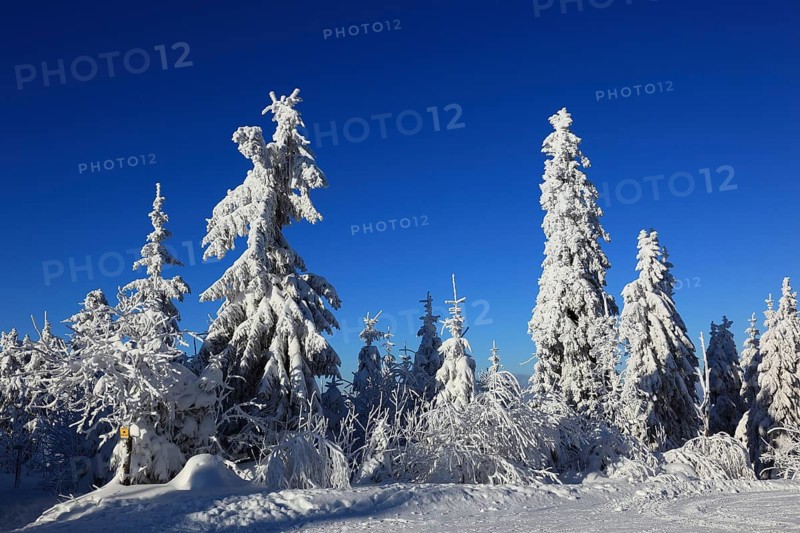 Winter landscape in the Fichtelgebirge, Bayreuth district, Upper Franconia, Bavaria, Germany, Europe