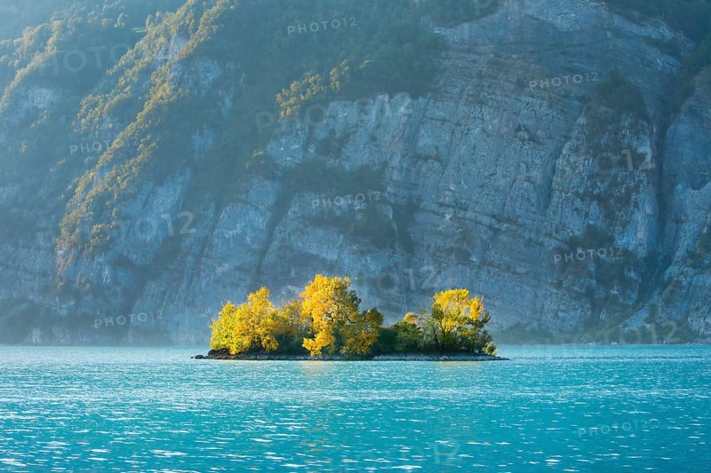 Small chive island in the turquoise waters of Lake Walen, Canton St. Gallen, Switzerland, Europe