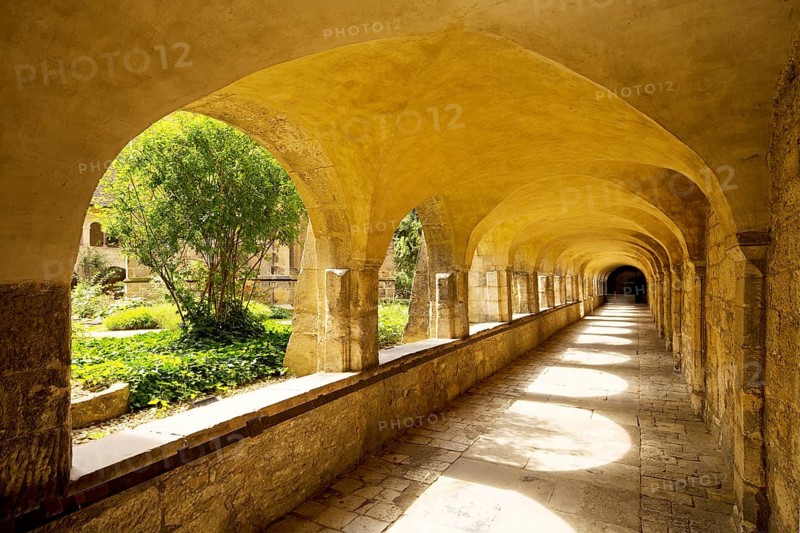 Cloister with view through the cemetery to the Thousand Year Rosebush, Mariendom, Hildesheim, Lower Saxony, Germany, Europe