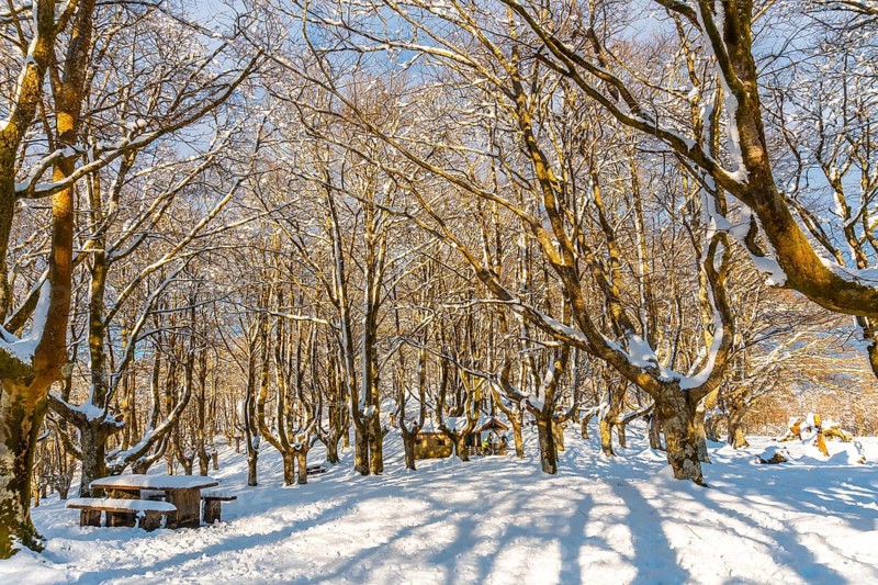 Beautiful refuge in the Oianleku natural park in the town of Oiartzun next to Peñas de Aya, Gipuzkoa. Basque Country