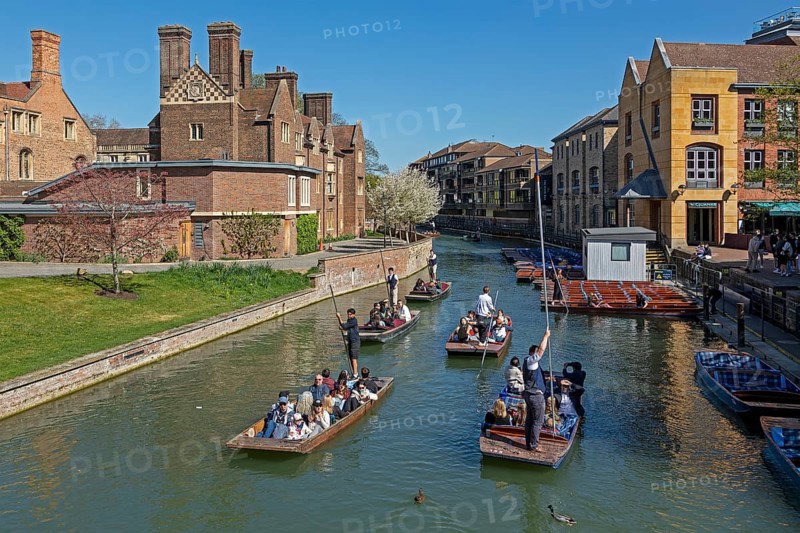 Punting, punting, Magdalene College, River Cam, Cambridge, England, Great Britain