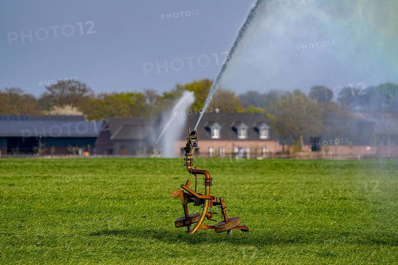 Artificial irrigation of a cereal field in April, with a sprinkler system, long dry spell in spring makes this necessary for the young plants to grow well, Kerken, Lower Rhine, North Rhine-Westphalia, Germany, Europe
