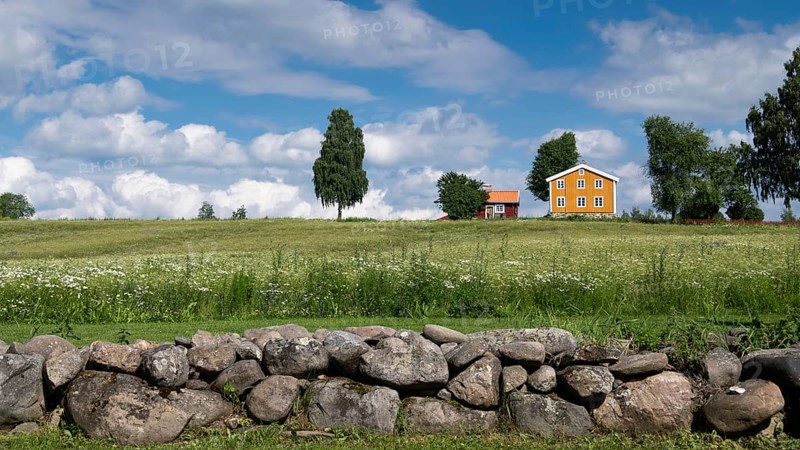Falun red and Swedish yellow wooden house, stone wall, trees, meadow, blue sky, clouds, at Lake Mjosa near Hamar, Norway, Europe