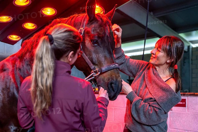 Women with horse in an innovative animal solarium in a rehabilitation center