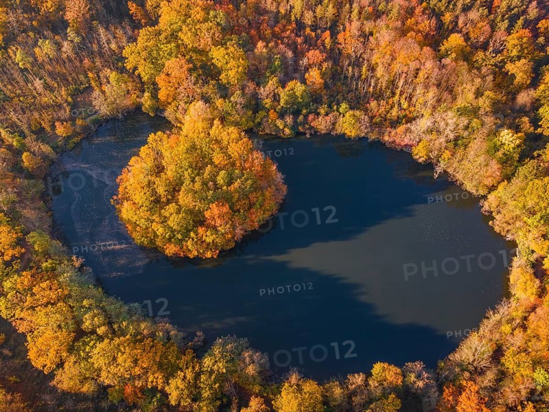 The leaves on the trees around the Gänseweiher pond near Maintal-Bischofsheim, close to Frankfurt am Main, have turned a colourful autumnal hue. Some trees have already shed their leaves. The light of the autumn sun bathes the landscape in golden light. (Aerial photo taken with a drone), Gänseweiher, Maintal-Bischofsheim, Hesse, Germany, Europe
