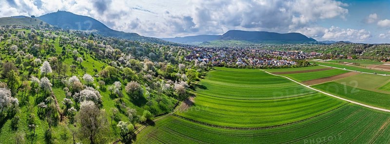 Spring on the Albtrauf of the Swabian Alb. In the Lenninger Valley, fruit trees blossom in the orchards around Teck Castle. Aerial view. Owen, Baden-Württemberg, Germany, Europe