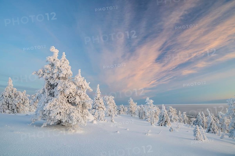 Winter landscape, Riisitunturi National Park, Posio, Lapland, Finland, Europe