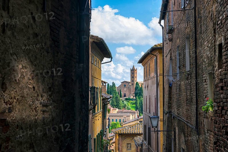 Old town with view of Basilica di San Clemente, historical, building, alley, Siena, Tuscany, Italy, Europe