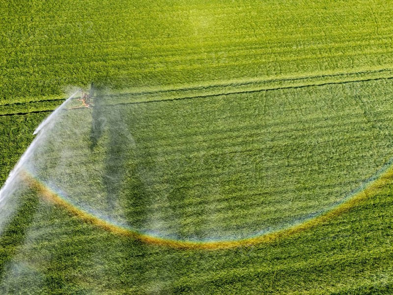 Artificial irrigation of a cereal field in April, with a sprinkler system, long dry spell in spring makes this necessary for the young plants to grow well, Kerken, Lower Rhine, North Rhine-Westphalia, Germany, Europe