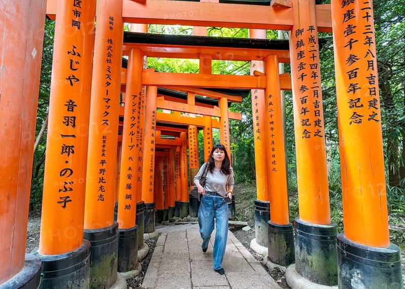 Torii path, Fushimi Inari-Taisha shrine, Kyoto, Japan, Asia