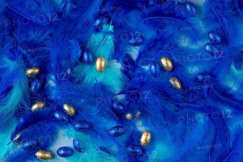 Golden and blue chocolate eggs amidst dense blue feathers create a festive texture