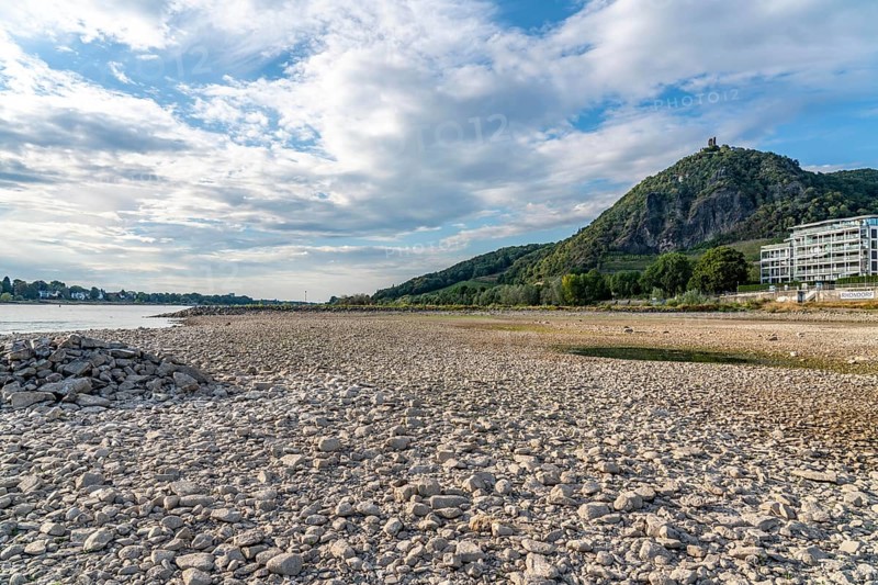 The Rhine at extremely low water, near Bad Honnef Rhöndorf, below the Drachenfels, Nonnenwerth Island, dry banks of the Rhine, North Rhine-Westphalia, Germany, Europe