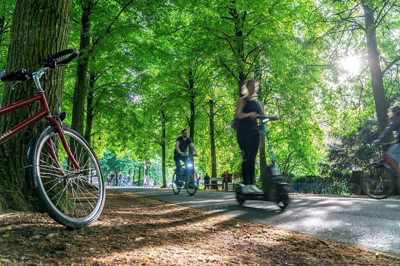 Promenade cycle path, tree-lined, car-free, approximately 4.5 km long ring road around the city centre of Münster, North Rhine-Westphalia, Germany, Europe