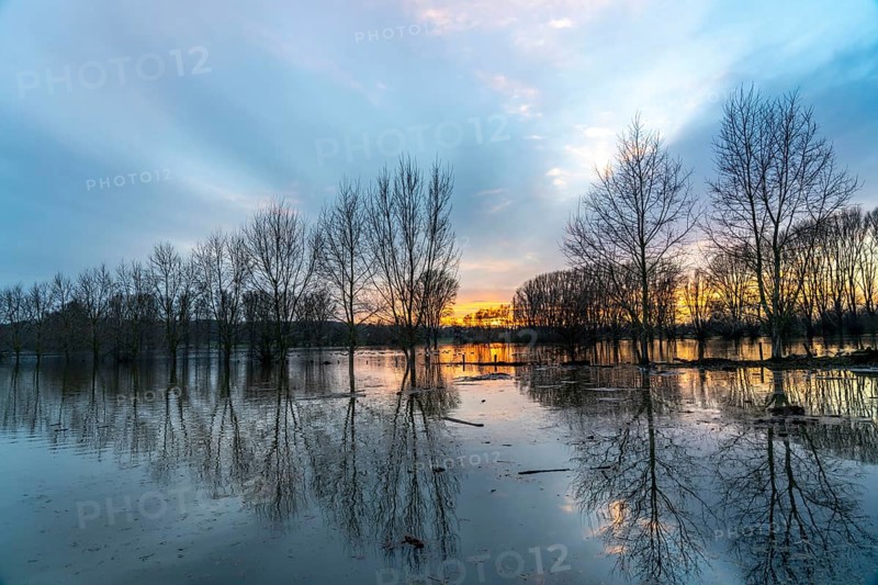 Bislicher Insel nature reserve, floodplain landscape on the Rhine, near Xanten, floods, flooded fields, meadows, North Rhine-Westphalia, Germany, Europe