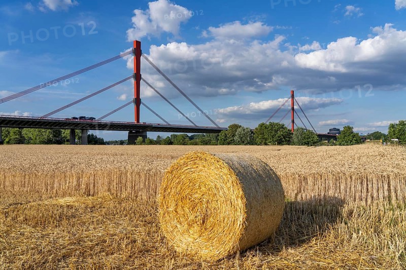 Grain field, harvested, straw bales, near Duisburg-Baerl, behind the motorway bridge of the A42 over the Rhine, Thyssenkrupp Steel steelworks in Duisburg-Beeckerwerht, North Rhine-Westphalia, Germany, Europe