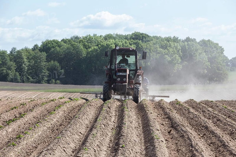 Tractor dragging a plume of dust behind it while working a potato field, Münchenberge, 20/05/2020