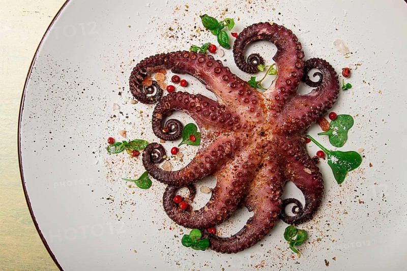 Boiled octopus, close-up, rustic style, no people, top view, close-up