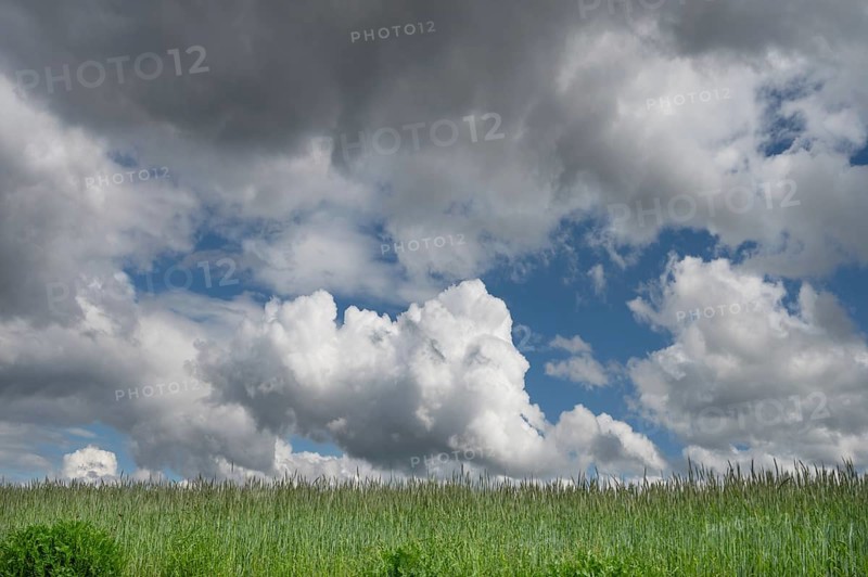 Meadow with cumulus clouds, Bavaria Germany