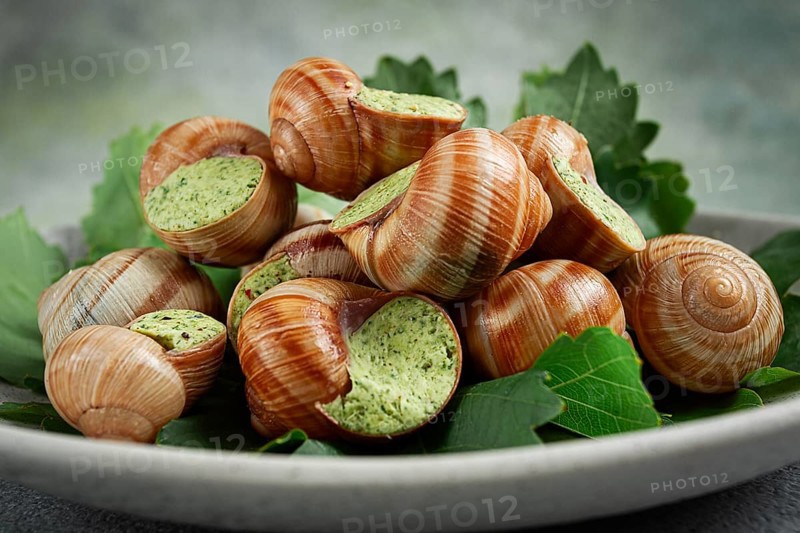 Grape snails, stuffed in burgundy, french cuisine