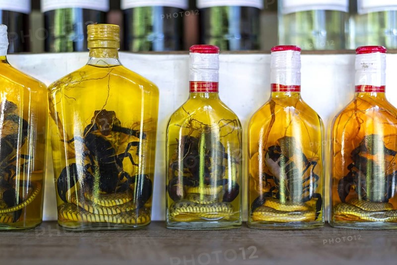 Choum, rice liquor, rice wine with pickled scorpions and snakes for sale, Laos, Asia