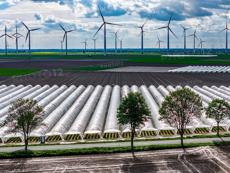Agriculture, large areas with foil tunnel, for the cultivation of strawberries, freshly cultivated fields, wind farm, south of Lövenich, belongs to Erkelenz, in the district of Heinsberg