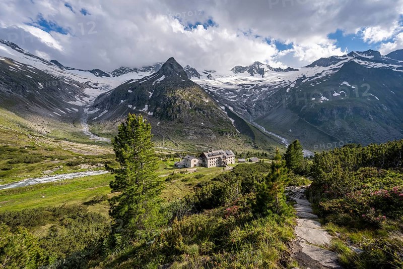 Mountain landscape with hiking trail and alpine roses, mountain hut Berliner Hütte, mountain peak Steinmandl, glacier Waxeggkees, Berliner Höhenweg, Zillertal Alps, Zillertal, Tyrol, Austria, Europe