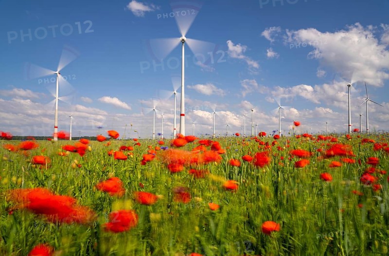 Wind farm, field with flower strips, insect-friendly border of fields with mixed flowers, poppies, north of Marsberg, Hochsauerlandkreis, North Rhine-Westphalia, Germany, Europe