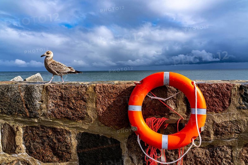 The city harbour of Sassnitz, island of Rügen, pier, harbour dam, dark rain clouds, lifebuoy, seagull, Mecklenburg-Western Pomerania, Germany, Europe