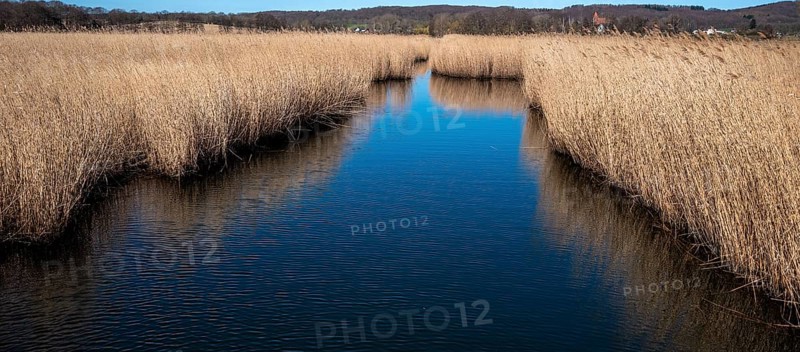 Landscape at Lake Neuensien on the island of Rügen, Mecklenburg-Western Pomerania, Germany, Europe