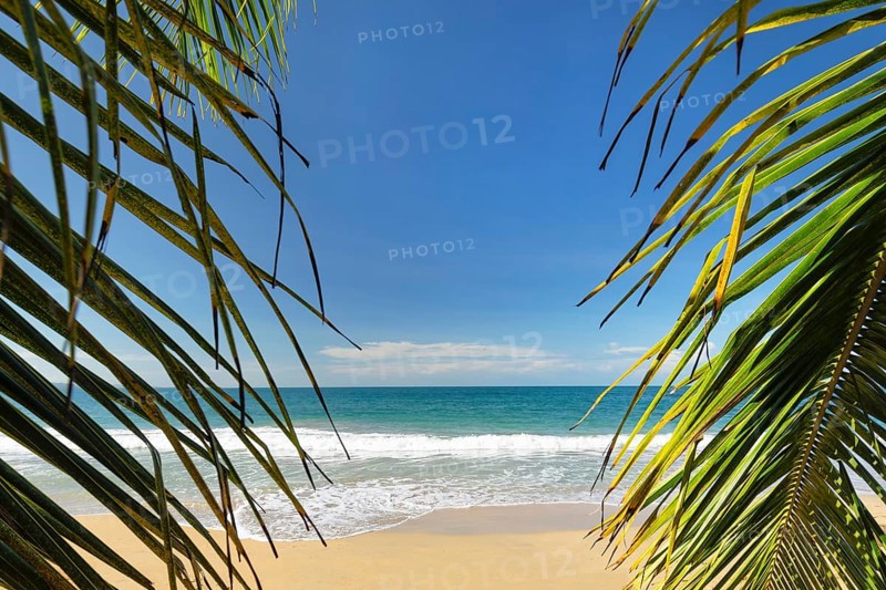Playa Uva, Puerto Viejo, Limon, Caribbean, Costa Rica, Central America