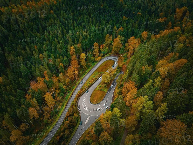 S-bend in the deep autumn forest, Hirsau, Calw, Black Forest, Germany, Europe
