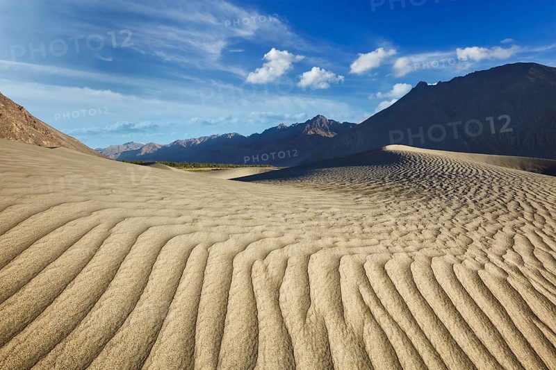 Sand dunes in Nubra valley in Himalayas. Hunder, Nubra valley, Ladakh