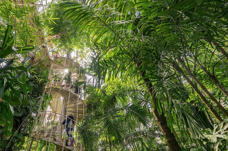 Tropical rainforest, cast-iron spiral staircase, Palm House, oldest Victorian greenhouse in the world, Royal Botanic Gardens, Kew, London, England, Great Britain
