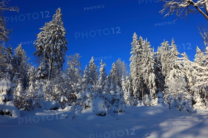 Winter landscape in the Fichtelgebirge, Bayreuth district, Upper Franconia, Bavaria, Germany, Europe