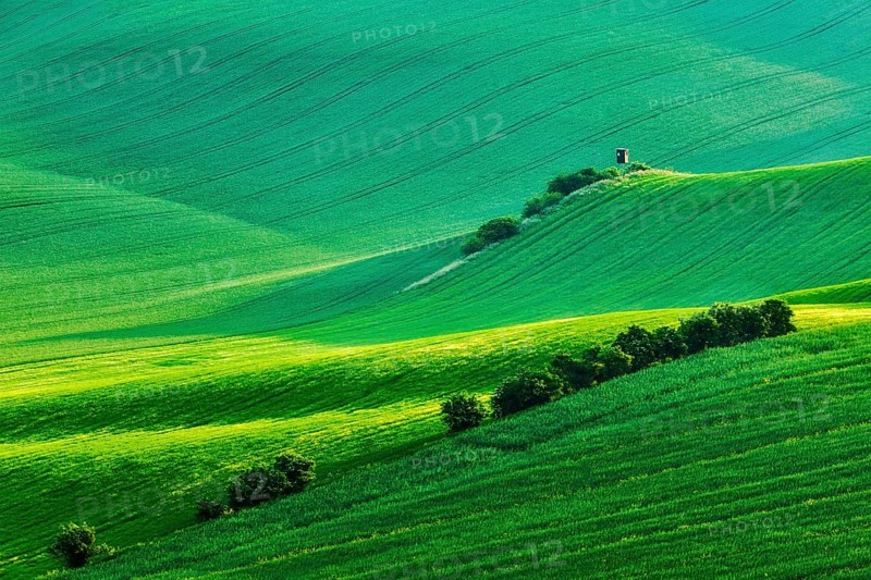 Rural Europe background, Moravian rolling landscape with hunting tower shack on sunset. Moravia, Czech Republic, Europe