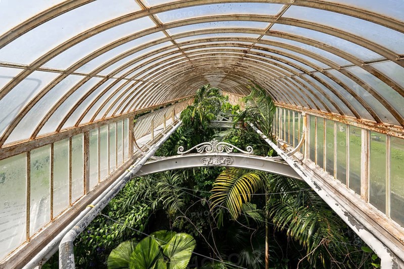 Tropical rainforest, Palm House, oldest Victorian greenhouse in the world, Royal Botanic Gardens, Kew, London, England, Great Britain