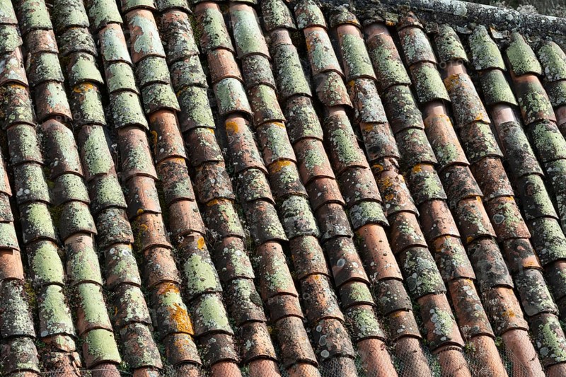 Close-up view of terracotta roof tiles showcasing unique textures and colors. The surface exhibits age with moss, lichen, and natural wear, reflecting a rustic atmosphere. France