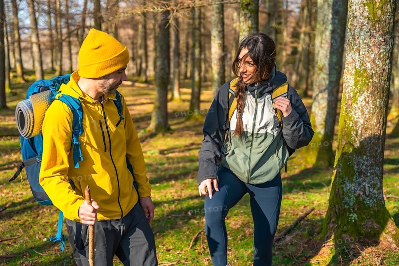 Hikers with backpacks enjoying a sunny day in the forest, chatting and laughing as they explore the scenic trails and lush surroundings