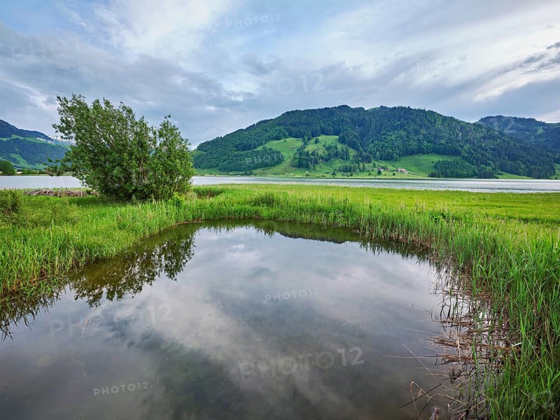 Reservoir, Sihlsee, Euthal, Canton Schwyz, Switzerland, Europe