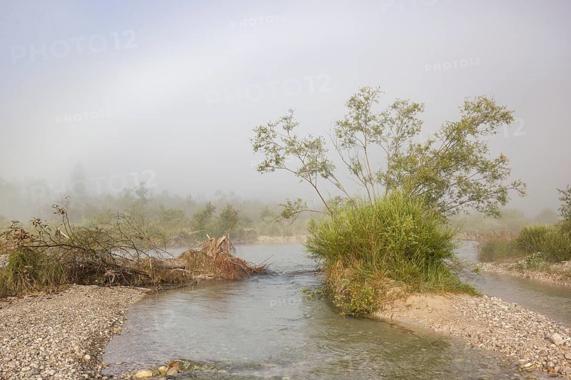 Isar valley nature conservancy area. The wild Isar river flows through its gravel bed past driftwood and entrained trees and bushes. Sunrise with fog showing an arc of mist, a rare weather phenomenon