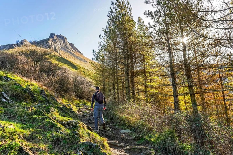 Hiker navigating a forest trail towards the majestic peak of mount txindoki, surrounded by lush greenery and vibrant sunlight in gipuzkoa