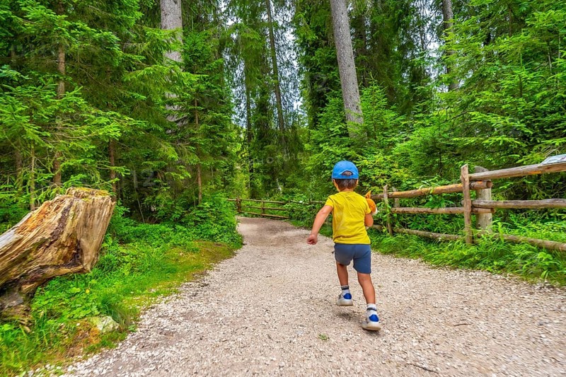 Child running along a gravel path through a lush forest near lake carezza in the italian dolomites, enjoying a summer day outdoors