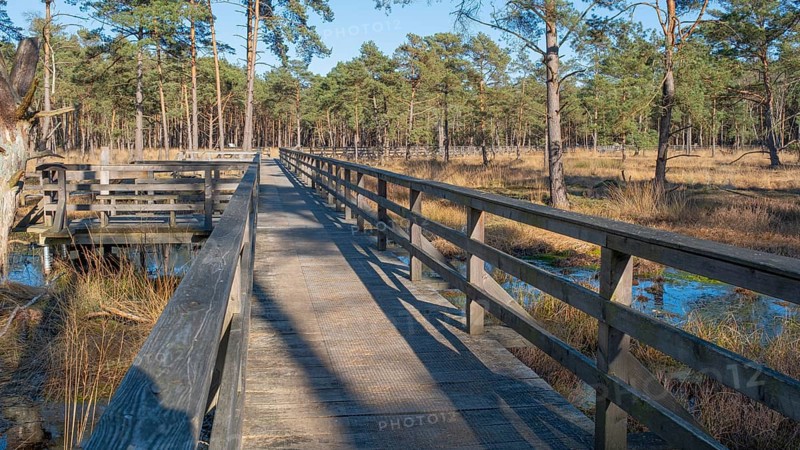 View along a moor bridge in the moor adventure trail, Otternhagener Moor, Resse, Neustadt am Rübenberge, Hanover, Lower Saxony, Germany, Europe