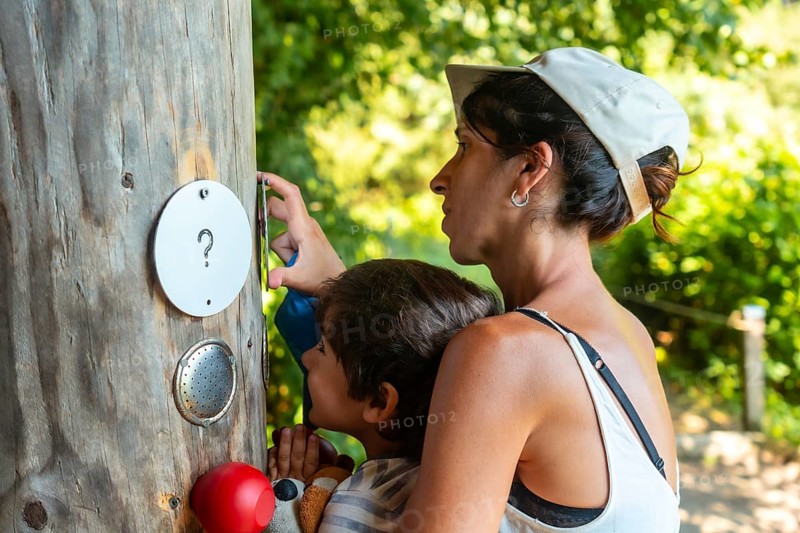 Mother and son touching a tree in a sensory park to enjoy nature and the senses, Black Forest, Germany, Europe