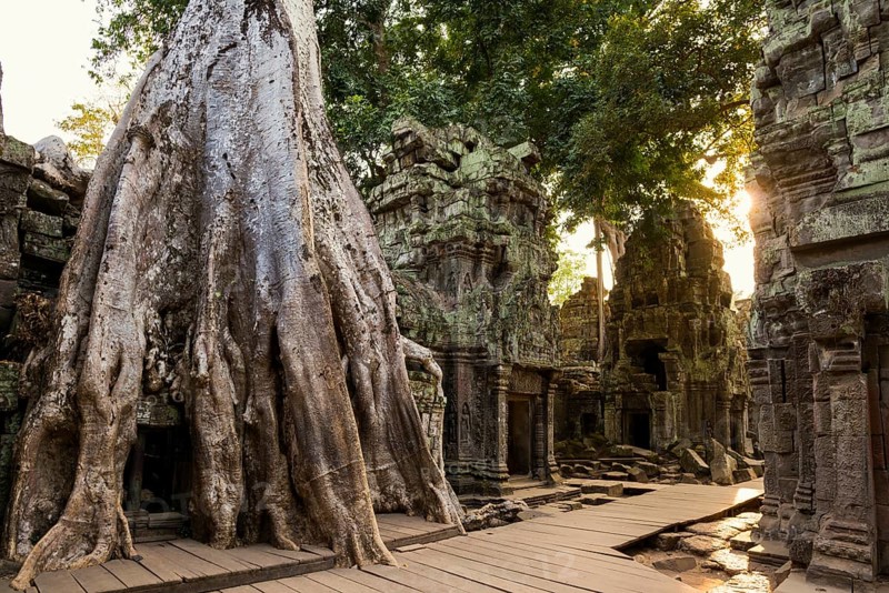 Ta Prohm, Angkor Wat, Angkor, UNESCO World Heritage Site, Siem Reap, Cambodia, Indochina, Southeast Asia, Asia